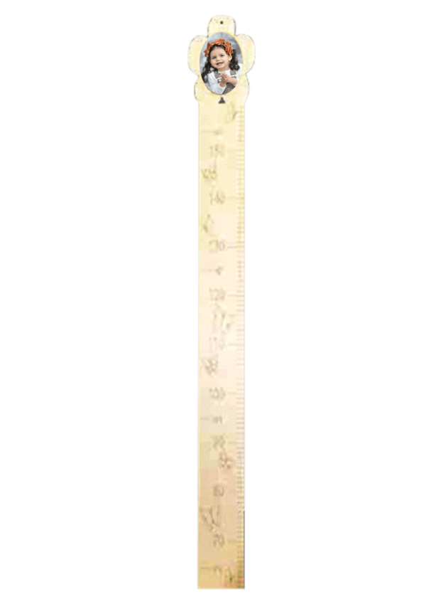מד גובה