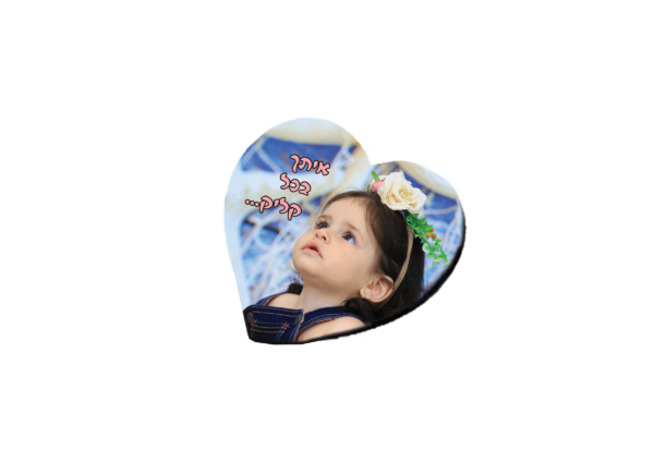פד לעכבר