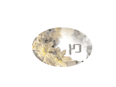 שלט לדלת דגם כץ