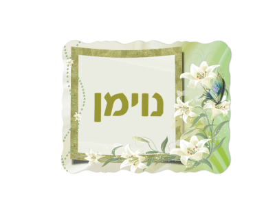 שלט לדלת דגם נוימן