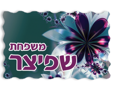 שלט לדלת דגם שפיצר